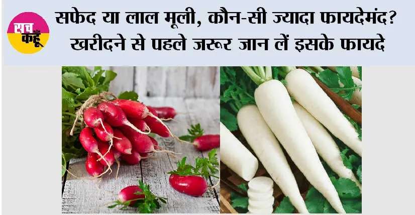 White And Red Mooli Ke Fayde: सफेद या लाल मूली, कौन-सी ज्यादा फायदेमंद? खरीदने से पहले जरूर जान लें इसके फायदे