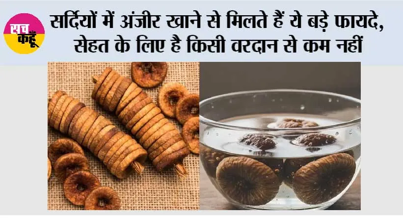 Winter Anjeer Benefits: सर्दियों में अंजीर खाने से मिलते हैं ये बड़े फायदे, सेहत के लिए है किसी वरदान से कम नहीं