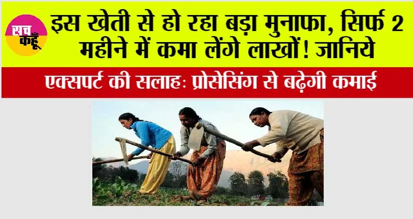 Business Idea: इस खेती से हो रहा बड़ा मुनाफा, सिर्फ 2 महीने में कमा लेंगे लाखोें! जानिये