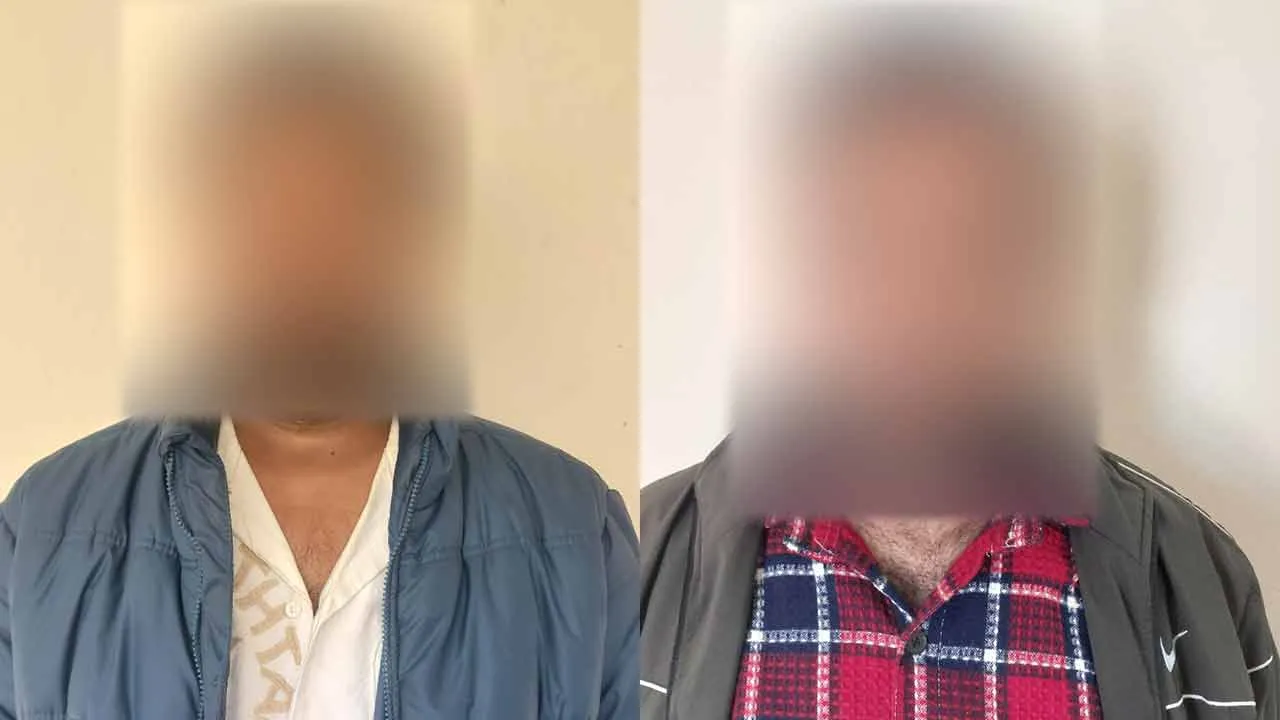 Surajkund Mela Accident: सूरजकुंड झूला हादसे में 2 आरोपी गिरफ्तार, मामले की जांच के लिए तीन सदस्यीय टीम गठित