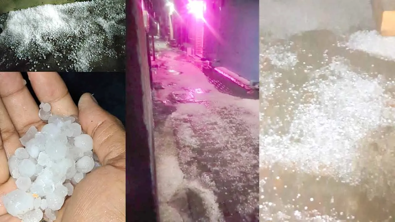 आफत बनकर आसमान से बरसी बर्फ घरौंडा क्षेत्र में आधी रात को बरसे ओले, खेतों में बिछी सफ़ेद बर्फ की चादर और सरसों की फसलों को नुकसान, सब्जियों पर भी पड़ी मार, तापमान में आई गिरावट