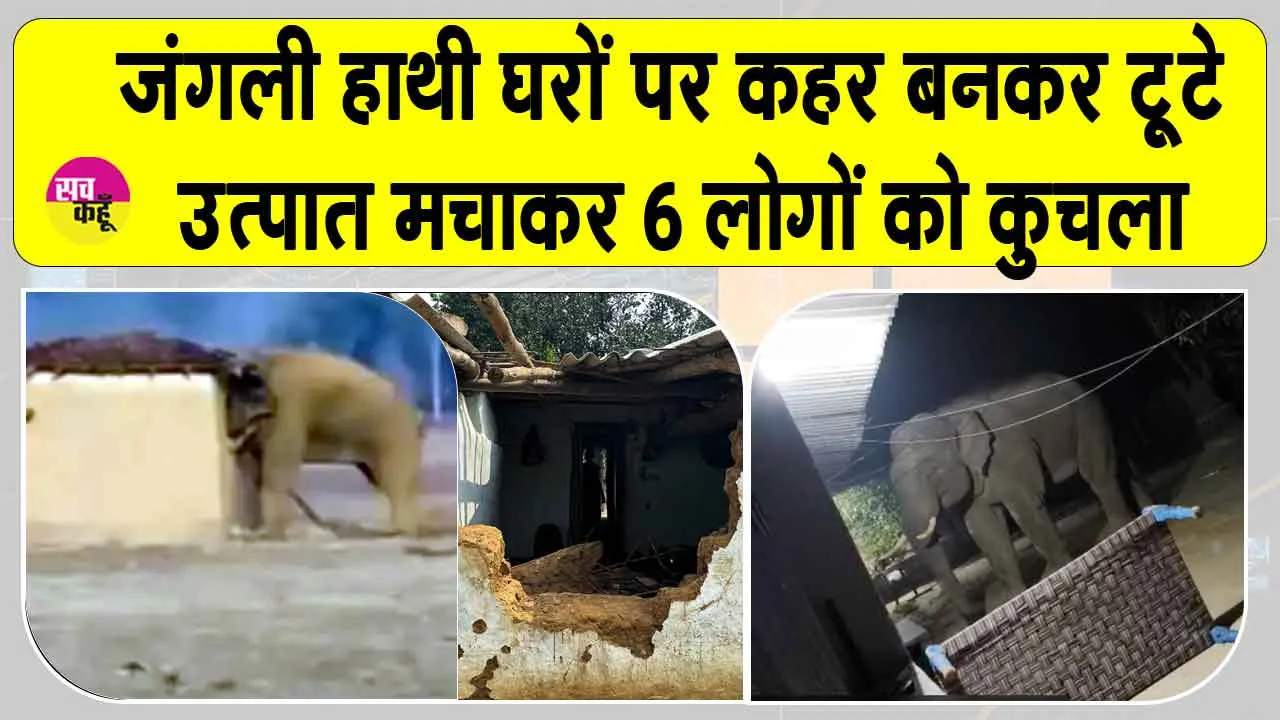 Hazaribagh Elephant Attack: जंगली हाथियों ने मचाया कोहराम, 6 की मौत, 4 एक ही परिवार के