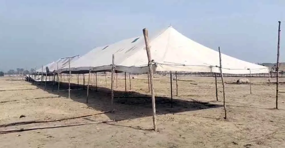 Rajasthan Horse Fair 2026: अश्व मेला कल से, देशभर से आएंगे अश्व पालक व व्यापारी