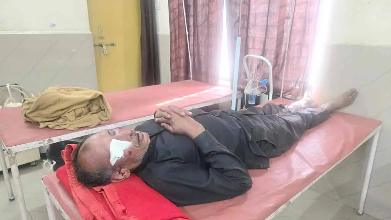 Kairana Road Accident: आवारा कुत्ते से टकराकर फिसली बाइक, दो घायल