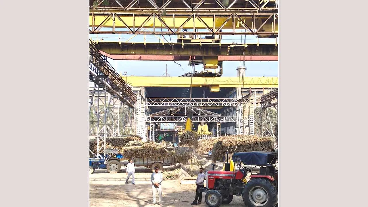 गन्ना किसानों को बड़ी राहत-14 जनवरी 2026 तक भुगतान पूर्ण, मिल प्रशासन ने किसानों से किया अनुरोध नारायणगढ़ शुगर मिल में ही सप्लाई करे गन्ना