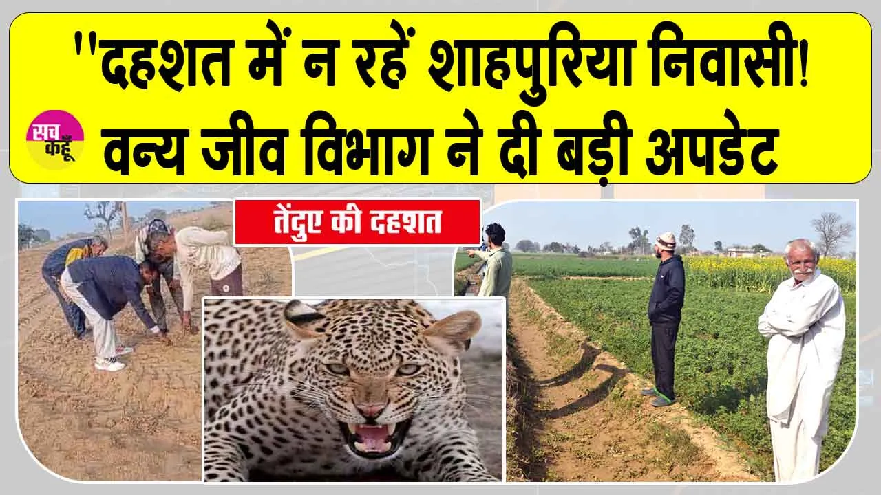Sirsa Leopard News: ”दहशत में न रहें शाहपुरिया निवासी, तेंदुए की दहशत को लेकर वन्य जीव विभाग ने दी ये बड़ी अपडेट