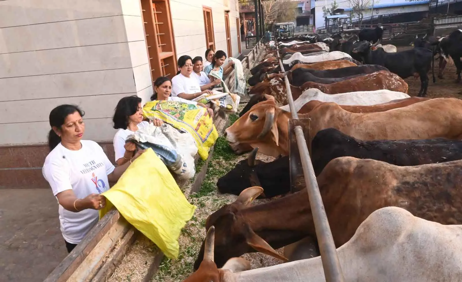 यूथ वीरांगनाओं की सराहनीय पहल! क्षेत्र में बन रही सकारात्मक कार्यों की मिसाल