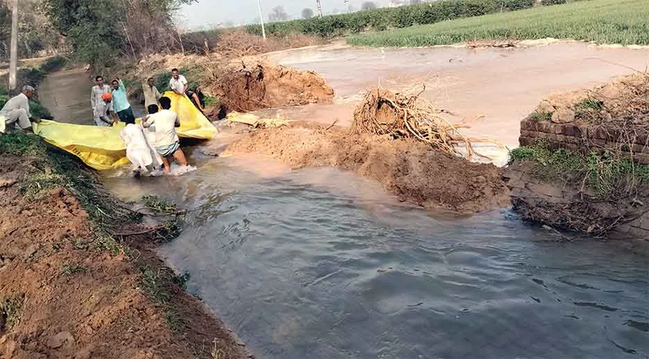 चौटाला माइनर में अचानक दरार आ जाने से किसानों में मचा हड़कंप!