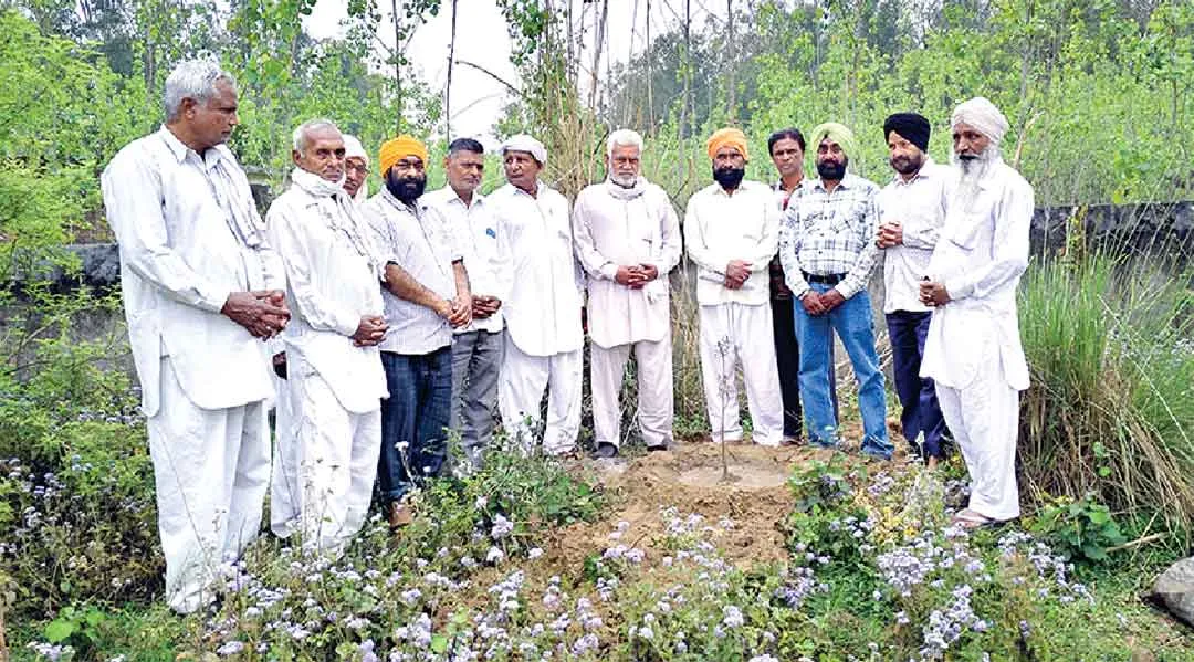 छछरौली ब्लॉक के सचखंडवासी सुरेन्द्र कौर की अस्थियों पर किया पौधारोपण