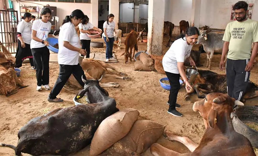 यूथ वीरांगनाओं की पहल! गौसेवा कर दिया करुणा और सेवा का संदेश