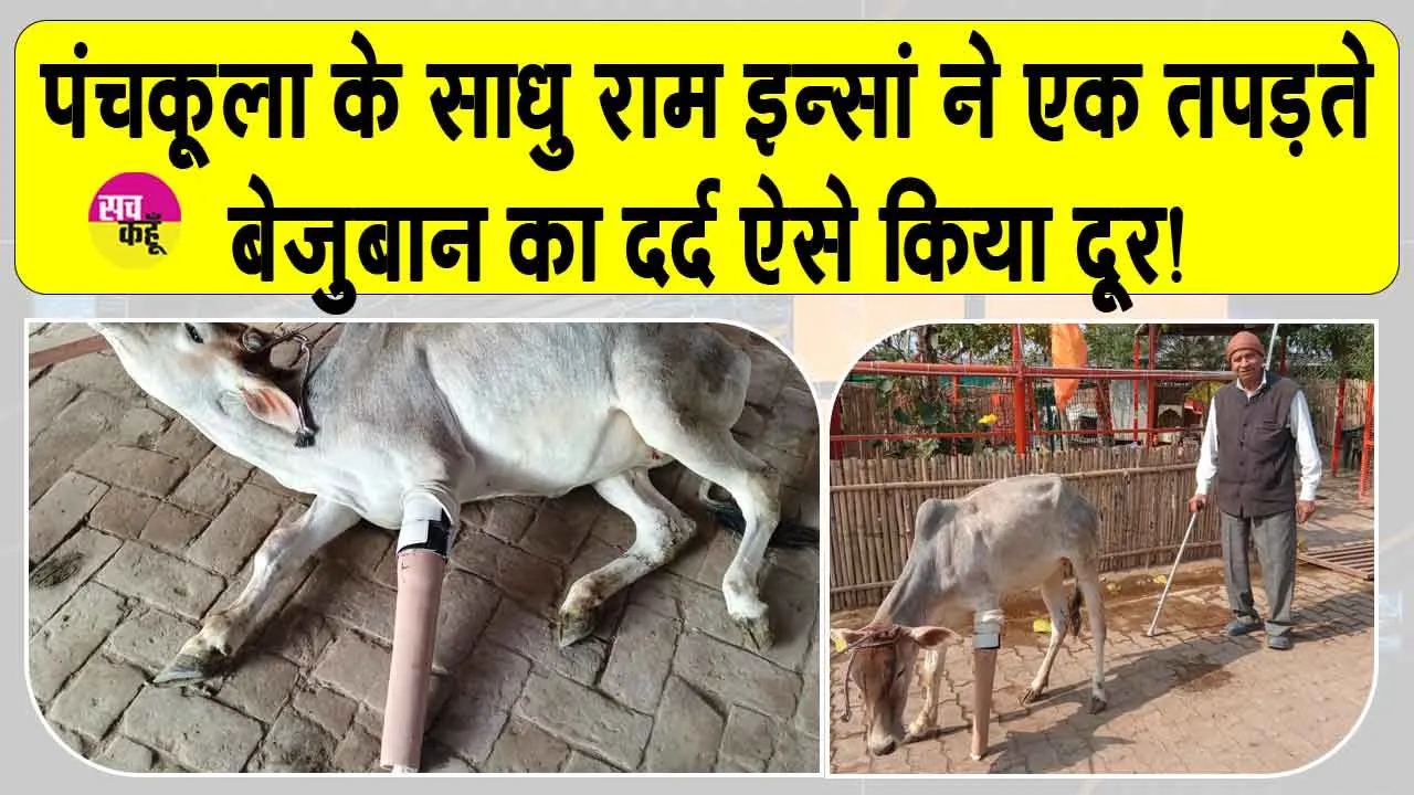 पंचकूला के डेरा सच्चा सौदा सेवादार ने समझा एक बेजुबान का दर्द