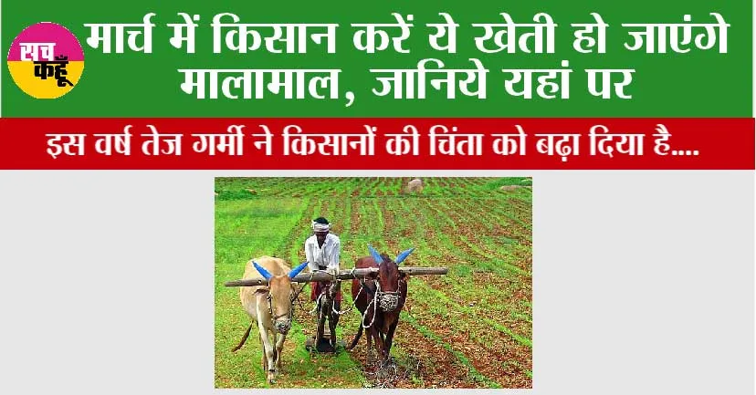 Farmers News: मार्च में किसान करें ये खेती, हो जाएंगे मालामाल, जानिये यहां पर