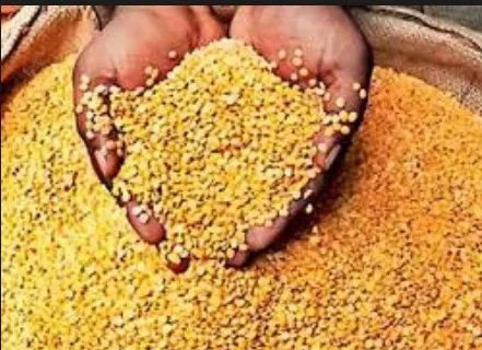 Ration Dealer News: गरीबों का खाद्यान्न डकार गया गोगवान का राशन डीलर, मुकदमा दर्ज