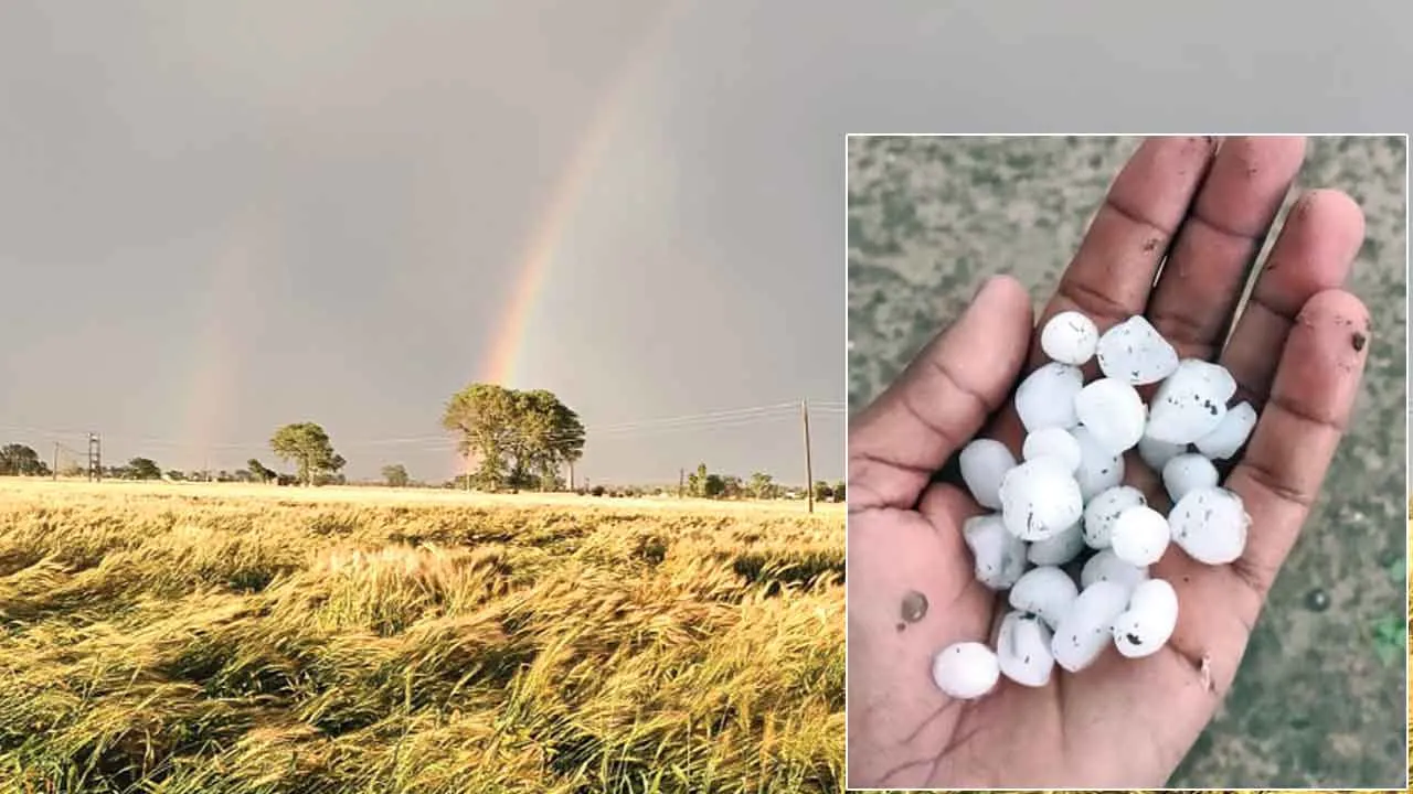 फिरोजपुर में ओलावृष्टि, आसमान में दिखीं दो सतरंगी इंद्रधनुष