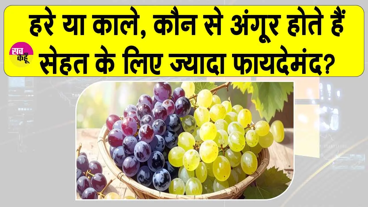 Grapes Benefits: जानिए हरे और काले अंगूर में से कौन से हैं ज्यादा पौष्टिक? क्या कहता है आयुर्वेद?