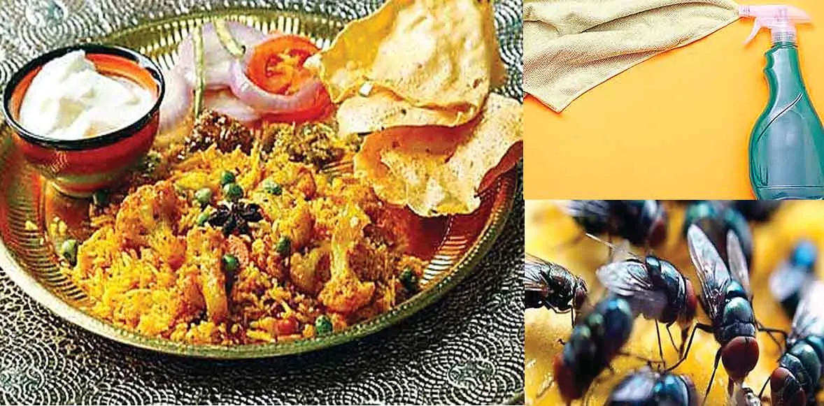 Kitchen Care: छोटी-छोटी मक्खियों को किचन से कैसे रखें दूर?