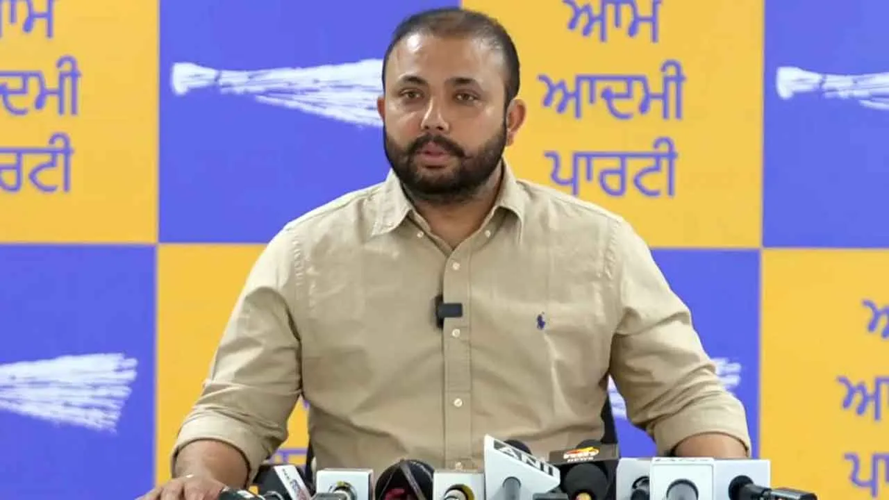 आप यूथ विंग ‘शानदार 4 साल, भगवंत मान दे नाल’ मुहिम को हर गांव और वार्ड तक ले जाएगी: परमिंदर गोल्डी