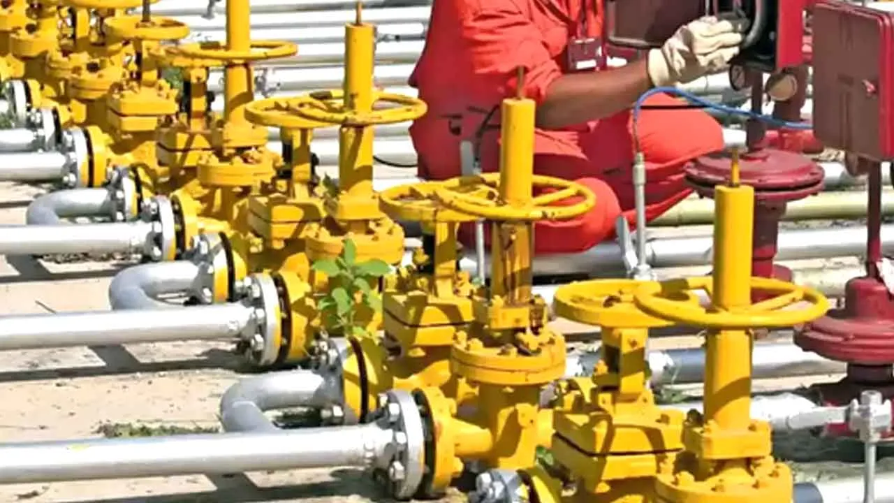PNG Gas News: सरकार की अपील लाई रंग, पीएनजी ग्राहकों ने छोड़ा एलपीजी