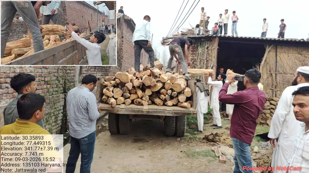 खैर तस्करी पर बड़ा शिकंजा जाटोवाला में स्थानीय पुलिस, सीआईए, वाइल्ड लाइफ व वन विभाग विभाग की संयुक्त रेड, दो घरों से खैर की बड़ी खेप बरामद