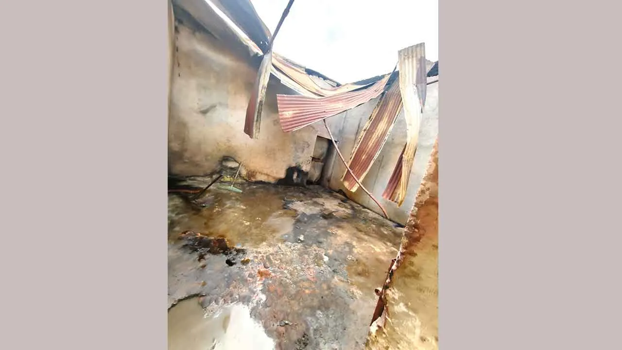 पैलेस में लगी आग, डिस्पोजेबल सामान जलकर राख