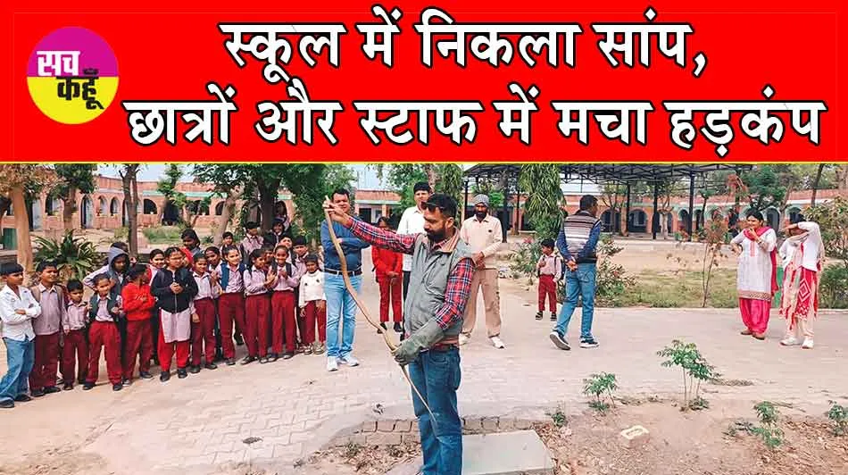 Snake News: स्कूल में निकला सांप, छात्रों और स्टाफ में मचा हड़कंप