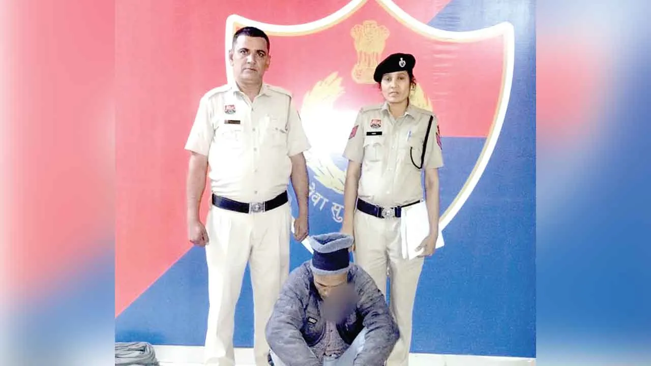 डबवाली पुलिस ने पेड़ चोरी की वारदात सुलझाई, एक आरोपी काबू