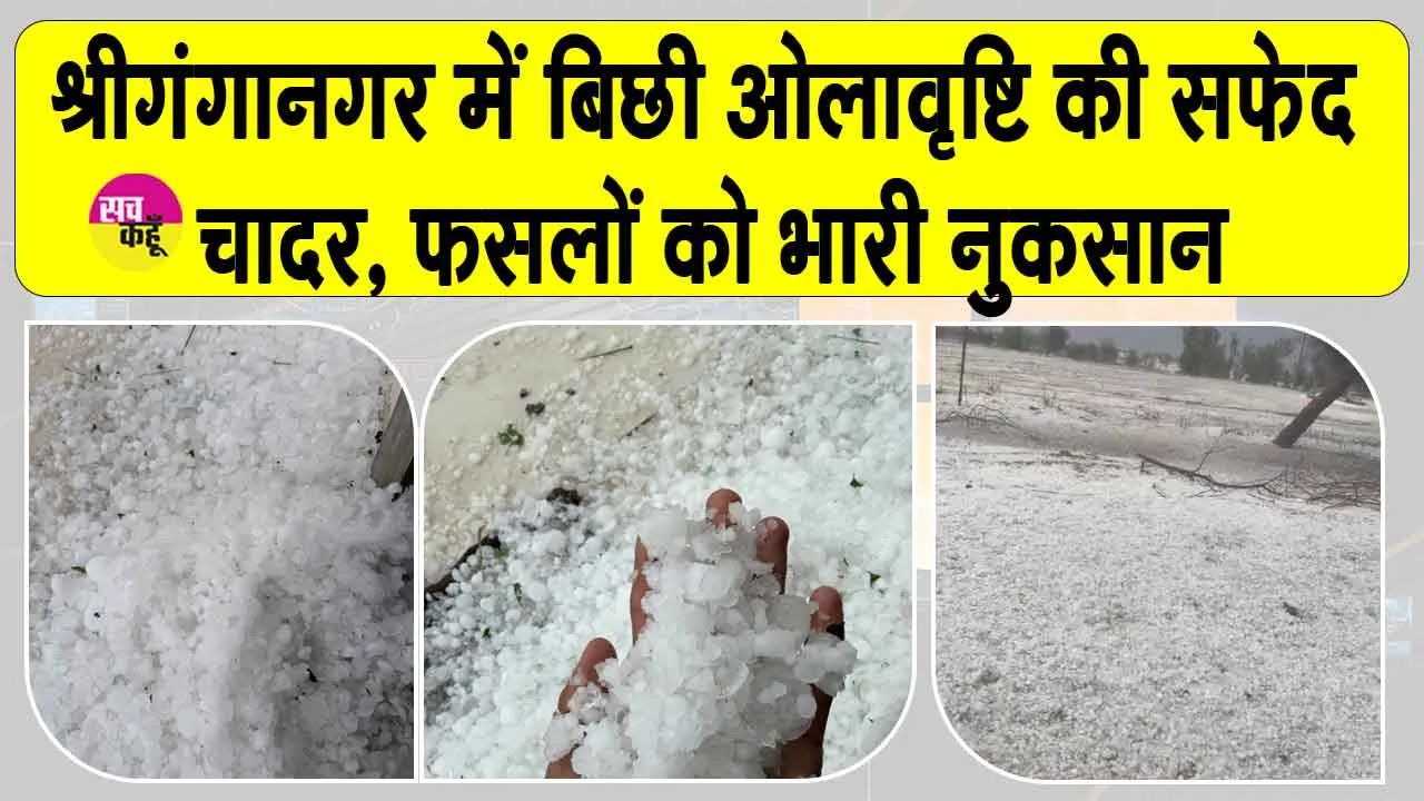 श्रीगंगानगर में भारी ओलावृष्टि से जमीन हुई सफेद, किसानों की फसलें बर्बाद