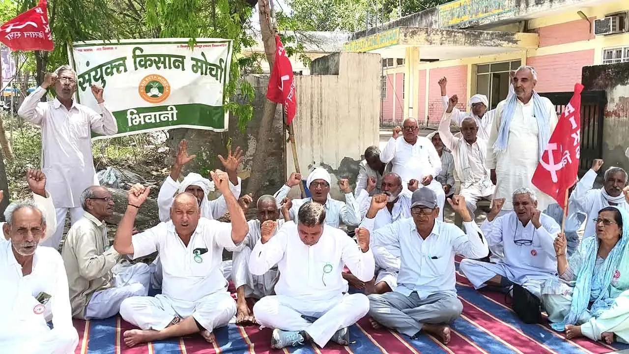 भिवानी में किसानों का फूटा गुस्सा, मंडी कार्यालय के बाहर जोरदार धरना