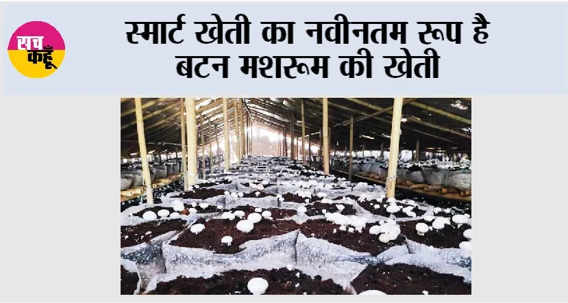 Smart Farming: स्मार्ट खेती का नवीनतम रूप है बटन मशरूम की खेती