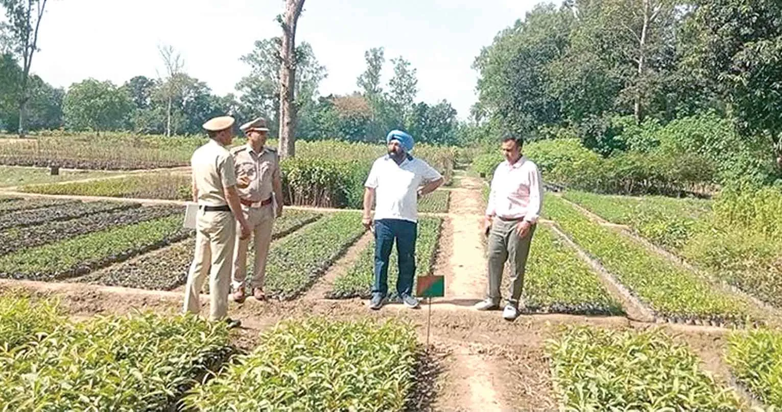 छछरौली के जंगलों और नर्सरियों का उच्चाधिकारियों ने निरीक्षण कर दिए सख्त निर्देश