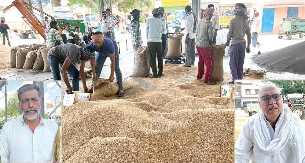 Farmers News: मंडी में इंतजार करते रहे किसान, केंद्रीय टीम की शर्तों ने बढ़ाई किसानों की चिंता