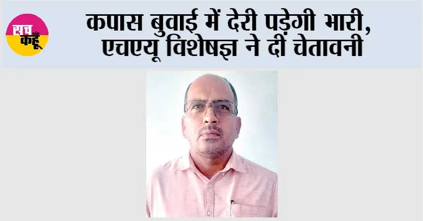 कपास बुवाई में देरी पड़ेगी भारी, एचएयू विशेषज्ञ ने दी चेतावनी