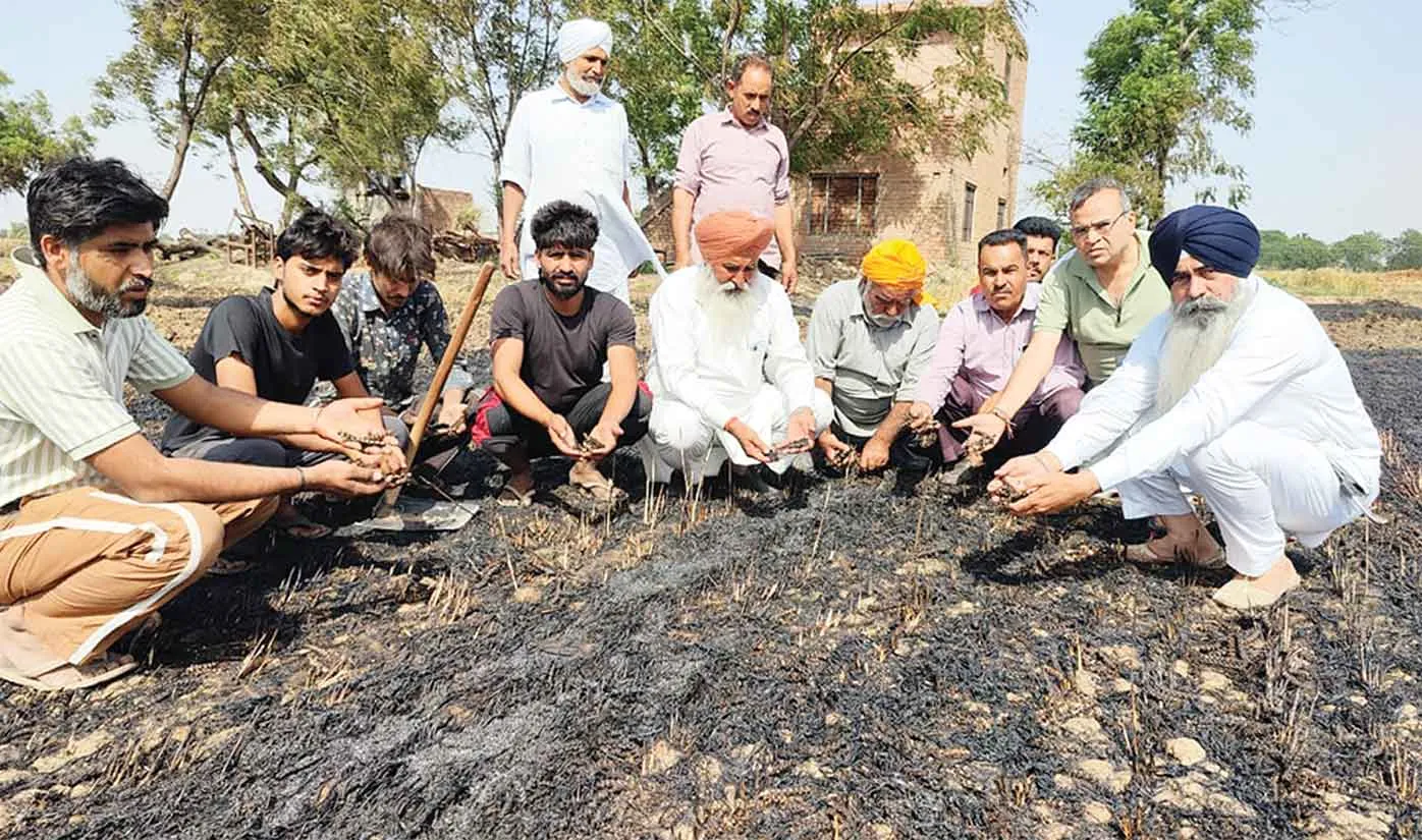 Farmers News: ट्रेन से फेंकी चिंगारी से स्वाहा हो गई गांव मीरपुर के किसानों की 26 एकड़ गेहूं की फसल