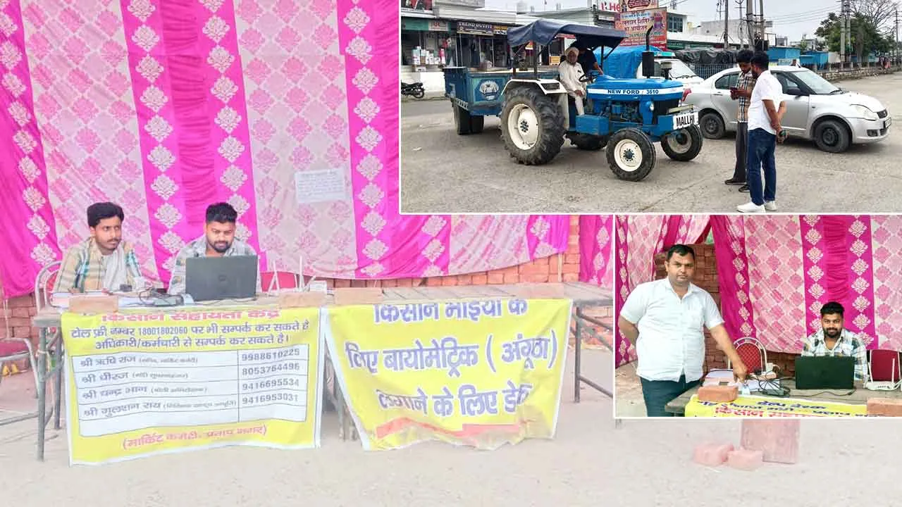 मौसम के मिजाज के चलते कम हो रही मंडियों में गेहूं की आवक