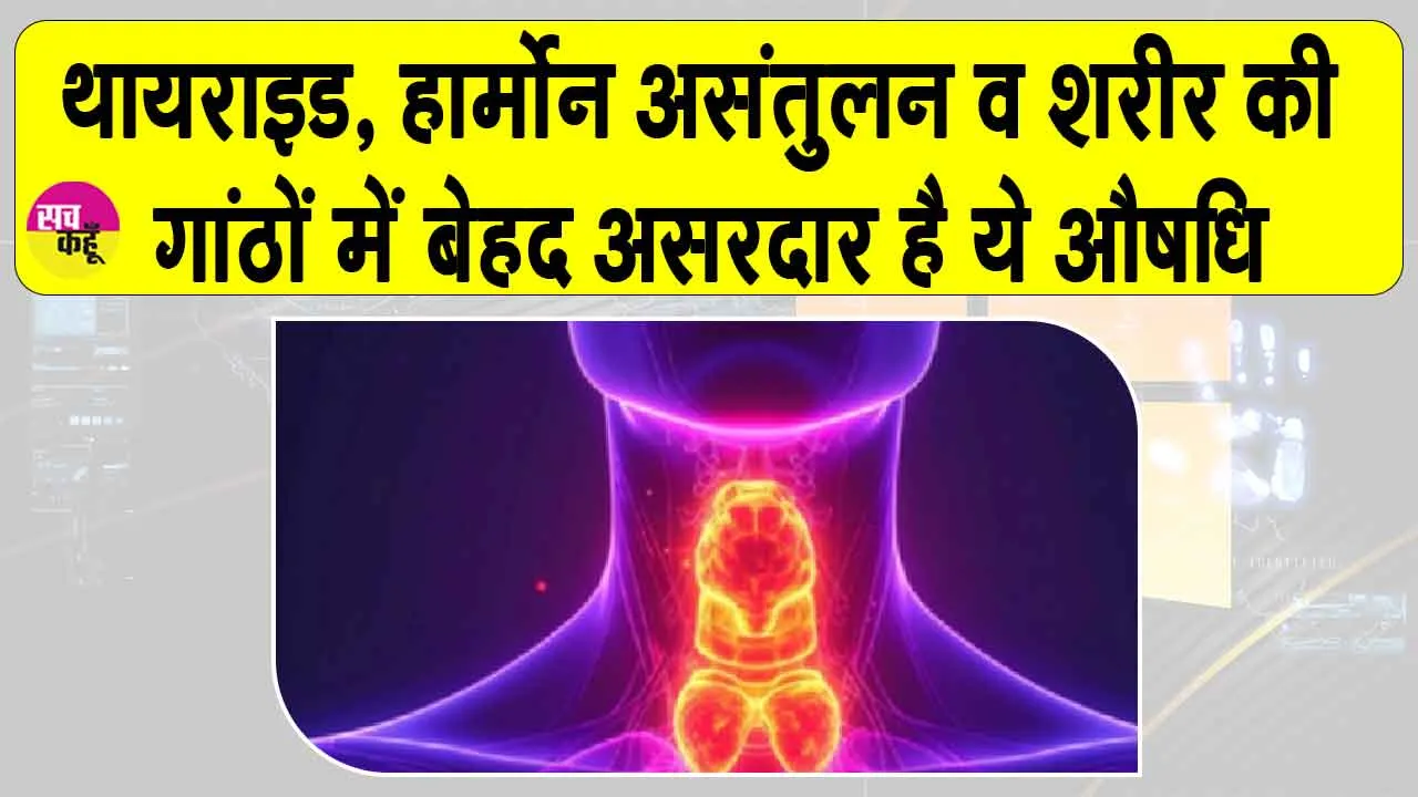 Kanchanar Guggulu Benefits: कंचनार गुग्गुलु! थायराइड, हार्मोन असंतुलन व शरीर की गांठों में है बेहद असरकारक