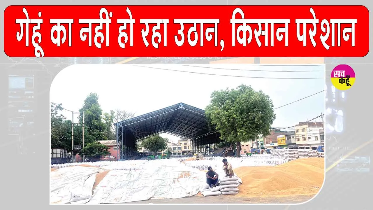सरसा की अनाज मंडियां गेहूं से लबालब, नहीं हो रहा उठान, किसान परेशान
