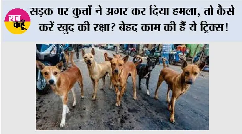 Dog Attack Safety Tips: सड़क पर कुत्तों ने अगर कर दिया हमला, तो कैसे करें खुद की रक्षा? बेहद काम की हैं ये ट्रिक्स!
