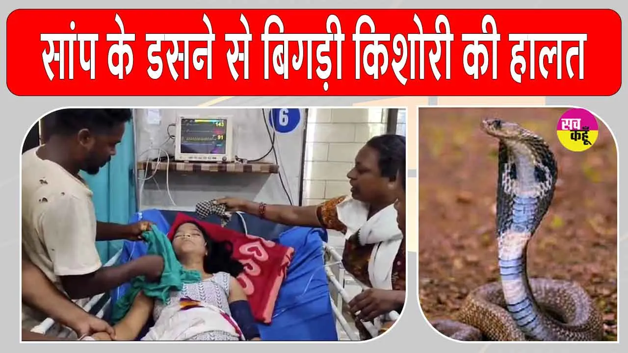 Snake News: सो रही 14 वर्षीय किशोरी को जहरीले सांप ने डसा, अस्पताल में भर्ती, हालत गंभीर