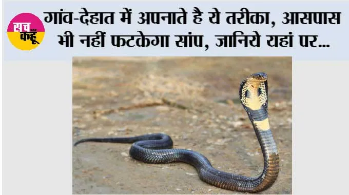 Snake: गांव-देहात में अपनाते है ये तरीका, आसपास भी नहीं फटकेगा सांप, जानिये यहां पर
