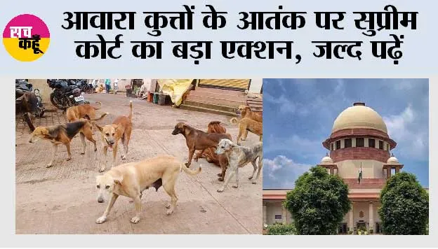 Supreme Court News: आवारा कुत्तों के आतंक पर सुप्रीम कोर्ट का बड़ा एक्शन, जल्द पढ़ें