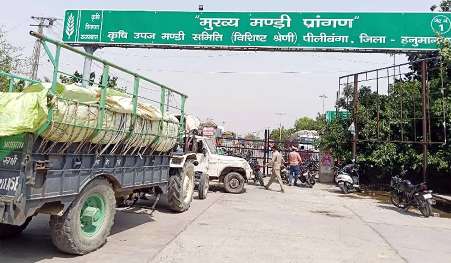 Traders Protest: बारदाने की कमी को लेकर पीलीबंगा धानमंडी बंद, व्यापारियों ने दिया धरना