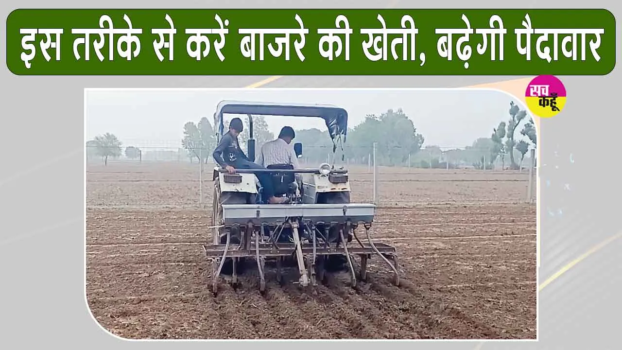 Pearl Millet Farming: मानसून में करें बाजरे की वैज्ञानिक खेती, आइये जानते हैं कैसे? किसानों को मिलेगा अधिक लाभ,बढ़ेगी पैदावार
