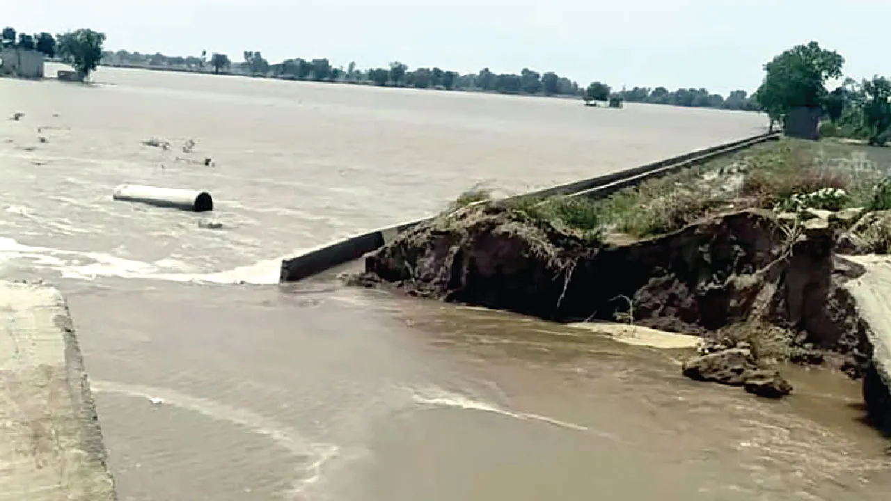 तूफान ने मचाई भारी तबाही, तीन जगहों पर टूटे रजबाहे, हजारों एकड़ जमीन में भरा पानी 