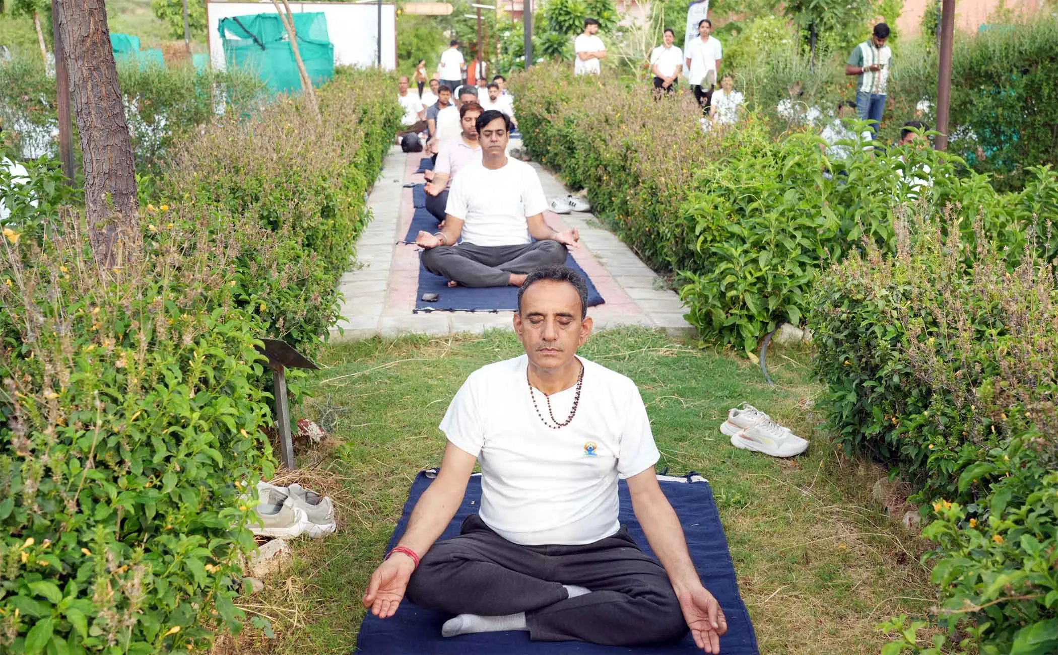International Yoga Day 2026: जंतर-मंतर के मुख्य आयोजन से पूर्व NIA के धन्वंतरि उपवन में हुआ सामूहिक योगाभ्यास