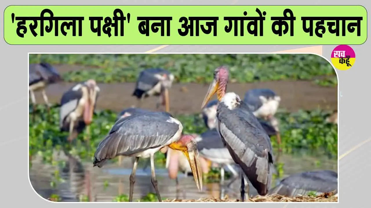Man Ki Baat with Modi:: जिस पक्षी को कभी अशुभ माना गया, आज पीएम मोदी ने मन की बात में क्यों किया उसका जिक्र?