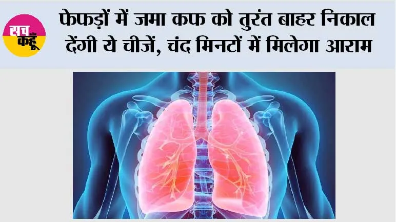 Health Alert: फेफड़ों में जमा कफ को तुरंत बाहर निकाल देंगी ये चीजें, चंद मिनटों में मिलेगा आराम