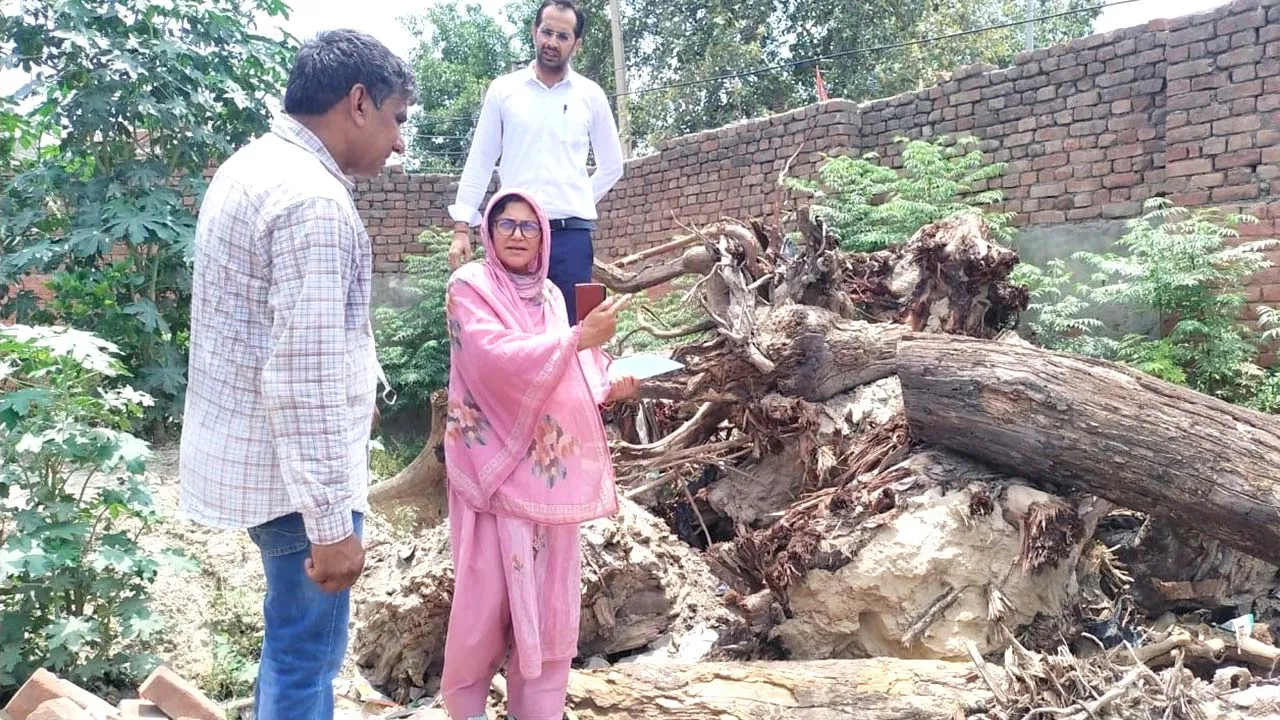 सीएम फ्लाइंग की जांच में खुलासा, रोडवेज वर्कशॉप में काटे 86 पेड़