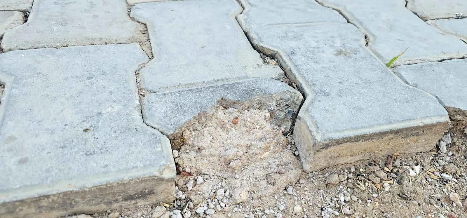 इंटरलॉकिंग कार्य पर उठे सवाल, भ्रष्टाचार के आरोप 