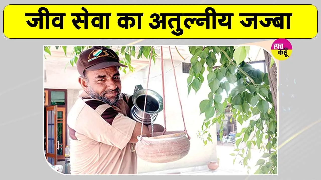 सच-कहूँ की 24वीं वर्षगांठ पर पाठकों ने किया बेजुबानों के लिए ये सराहनीय कार्य