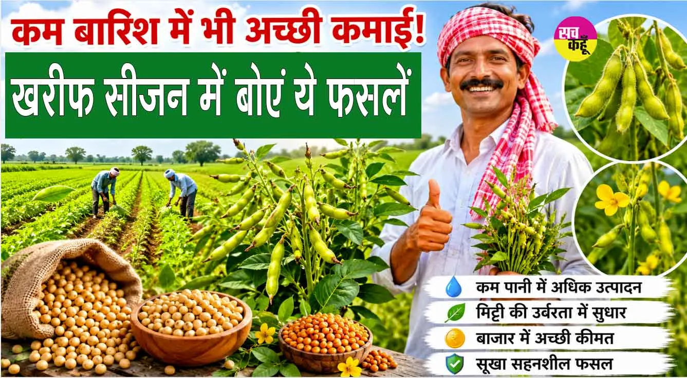 Arhar Cultivation: कम बारिश में भी होगी अच्छी कमाई! खरीफ सीजन में बोएं ये फसलें